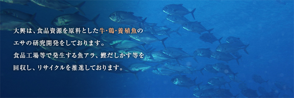 大興は、食品資源を原料とした牛・鶏・養殖魚のエサの研究開発をしております。食品工場等で発生する魚アラ、鰹だしかす等を回収し、リサイクルを推進しております。