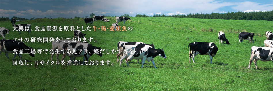 大興は、食品資源を原料とした牛・鶏・養殖魚のエサの研究開発をしております。食品工場等で発生する魚アラ、鰹だしかす等を回収し、リサイクルを推進しております。